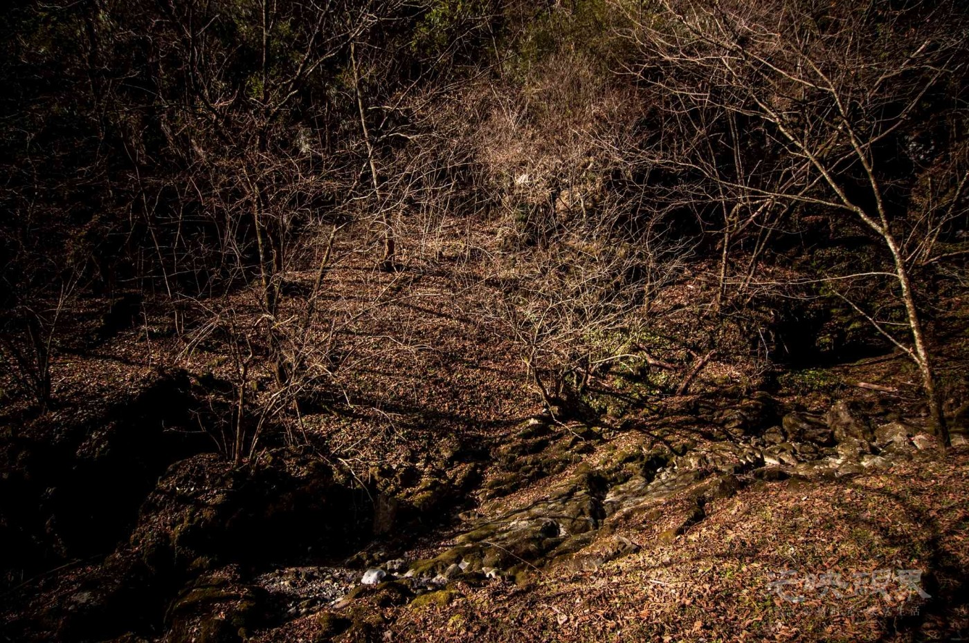 _DSC7568.jpg