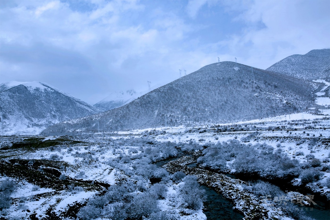 20180511拉萨米拉雪山046.jpg