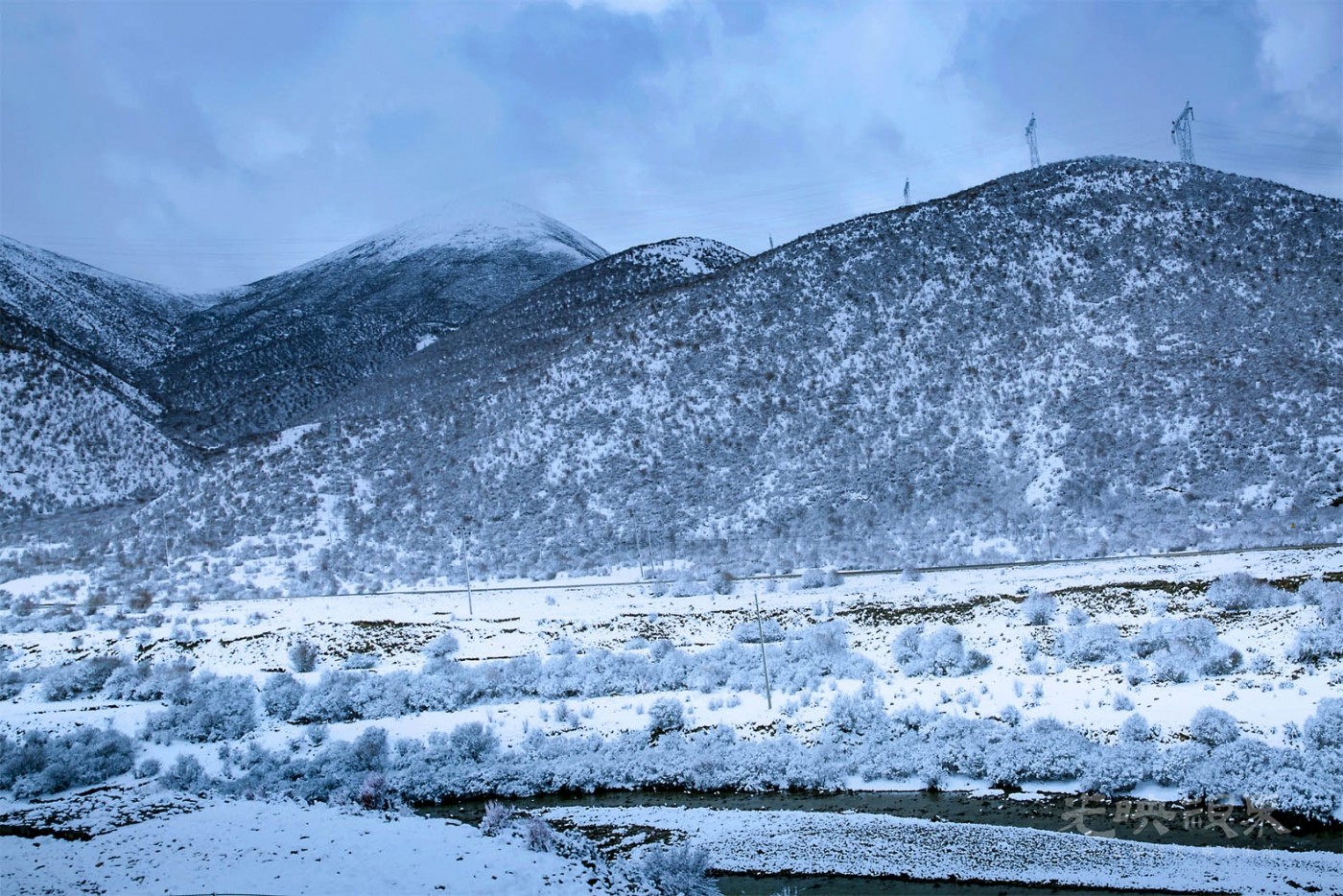 20180511拉萨米拉雪山050.jpg