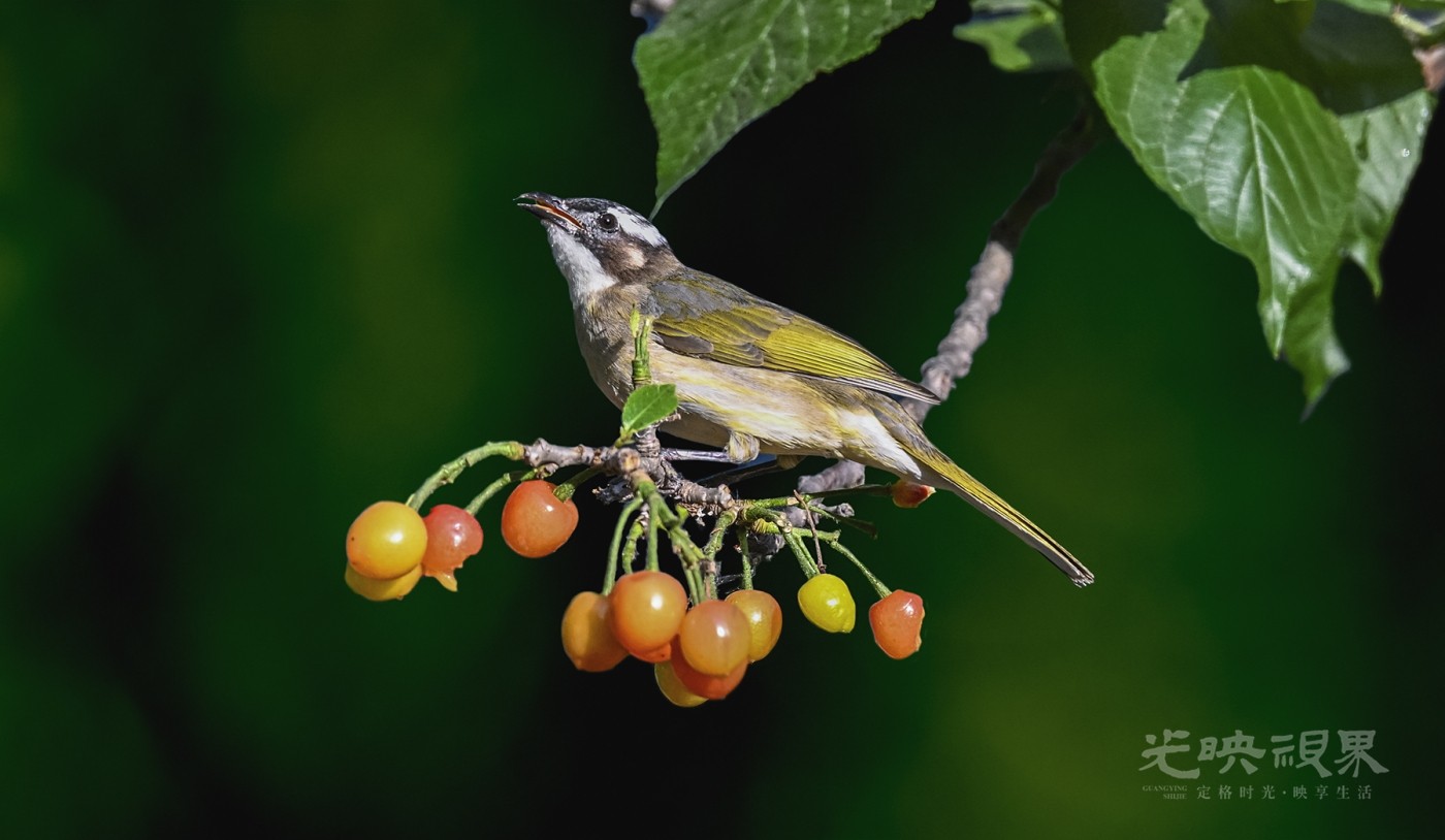 DSC_5169.jpg