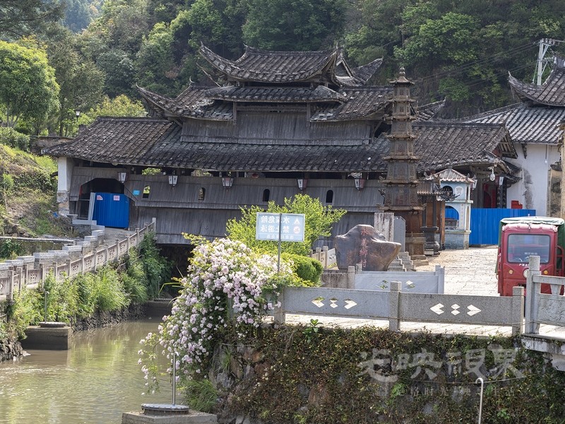 P5025857.jpg