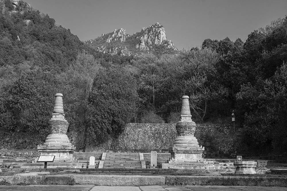 _DSC0968.jpg
