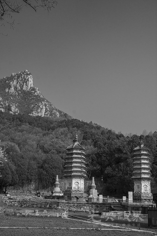 _DSC0976.jpg