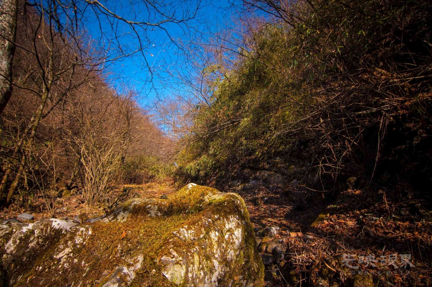 _DSC7596.jpg