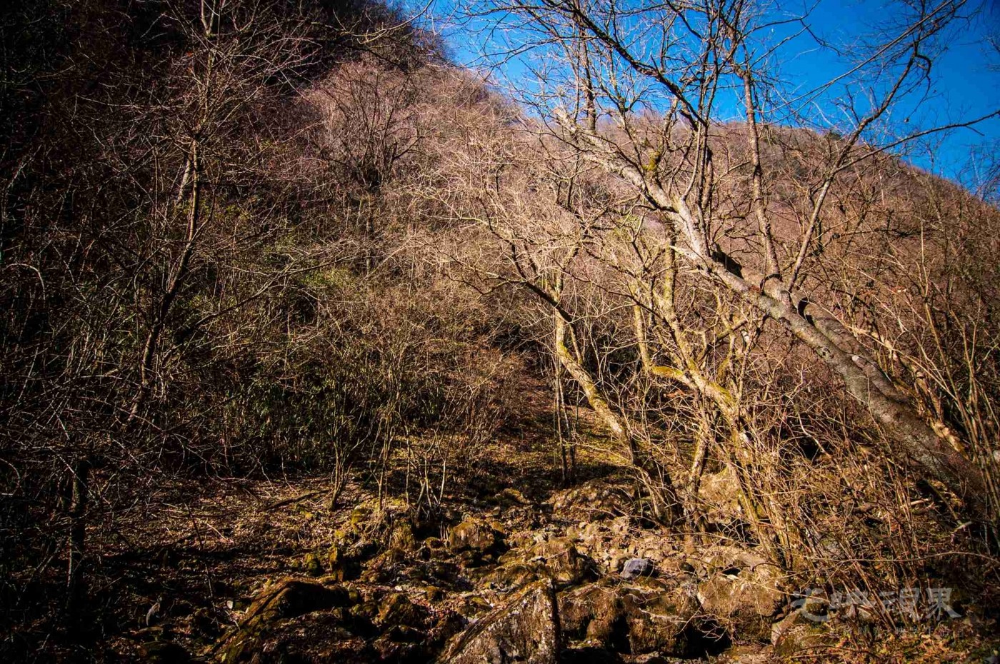 _DSC7586.jpg