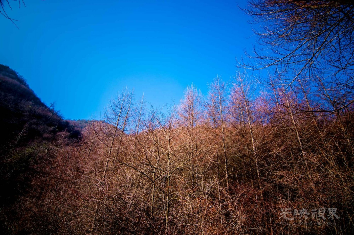 _DSC7600.jpg