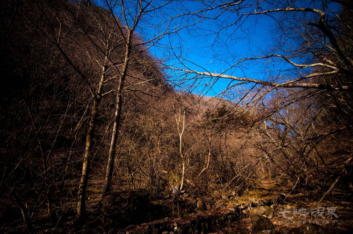 _DSC7582.jpg