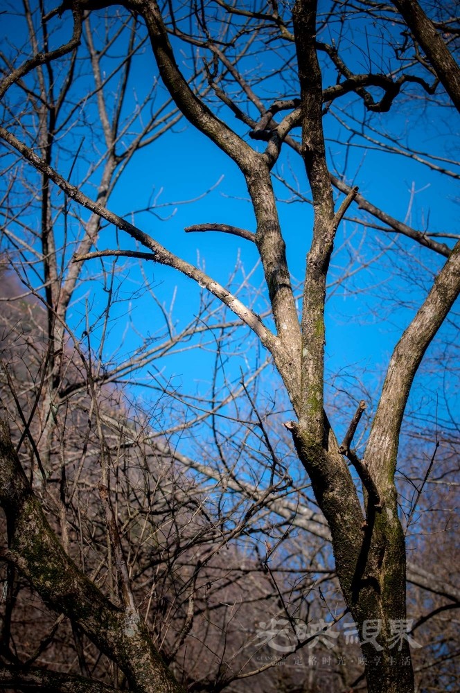 _DSC7542.jpg