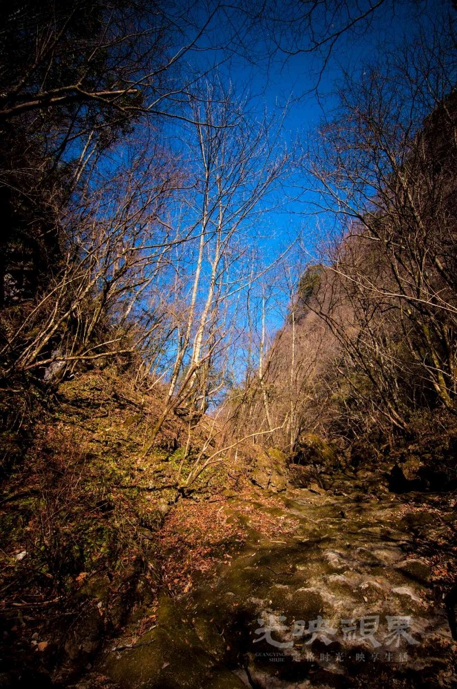 _DSC7576.jpg