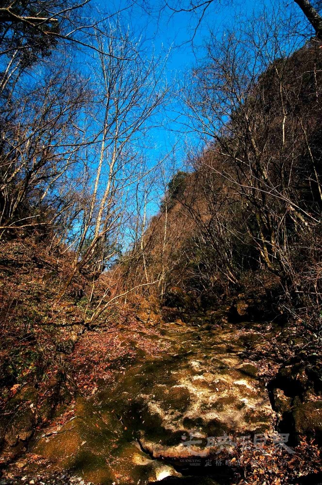 _DSC7577.jpg