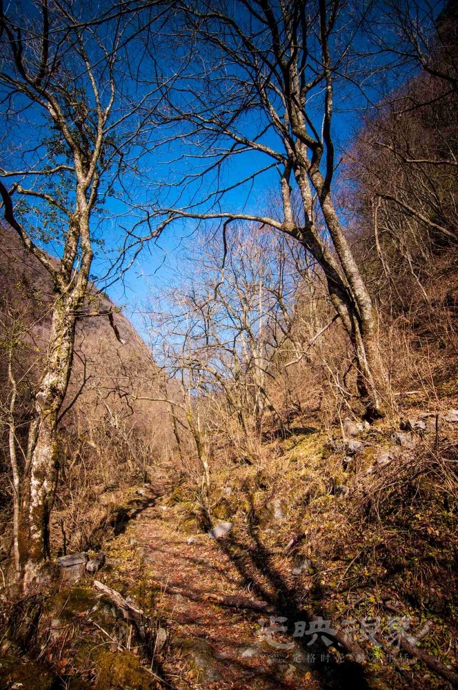 _DSC7585.jpg