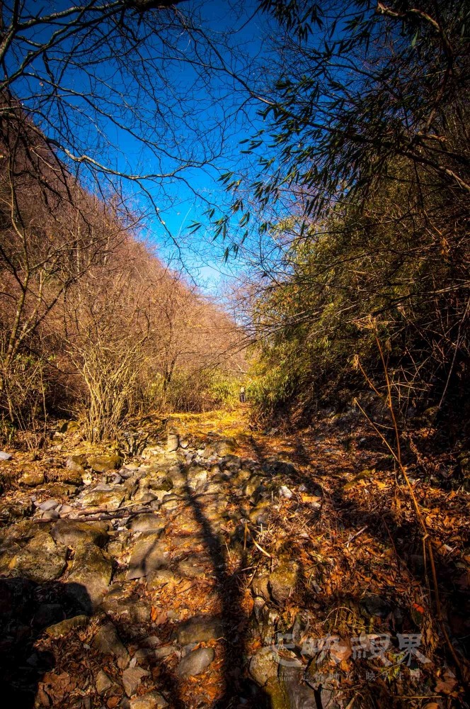 _DSC7595.jpg