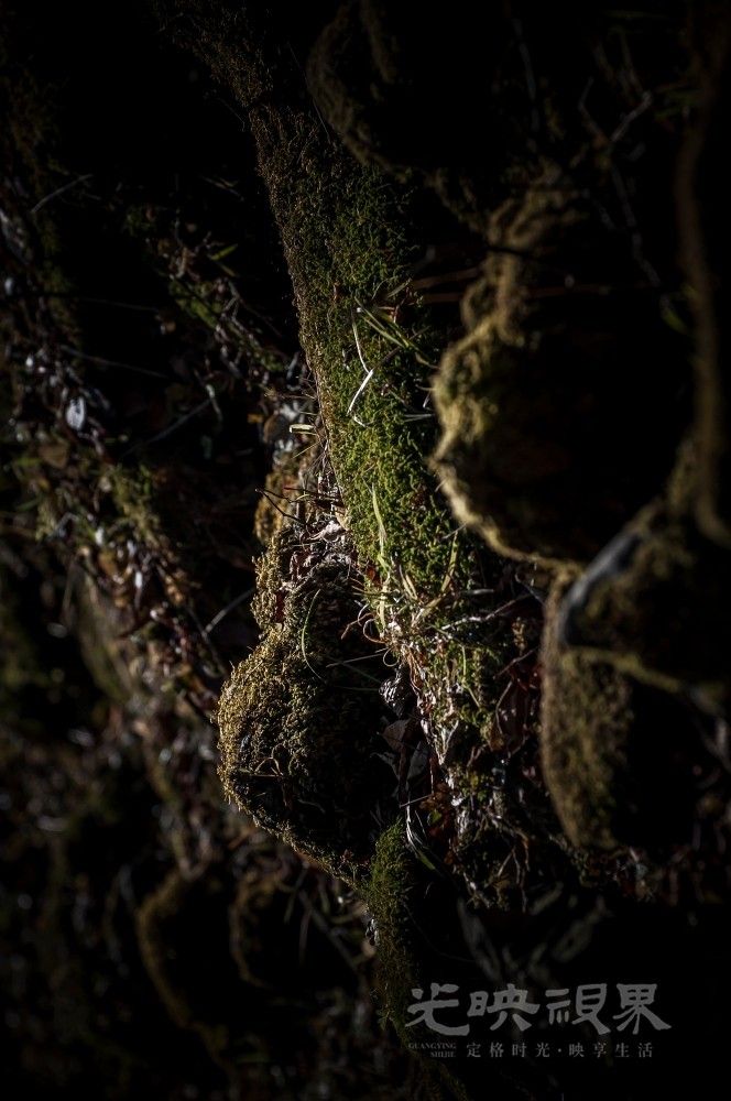 _DSC7535.jpg