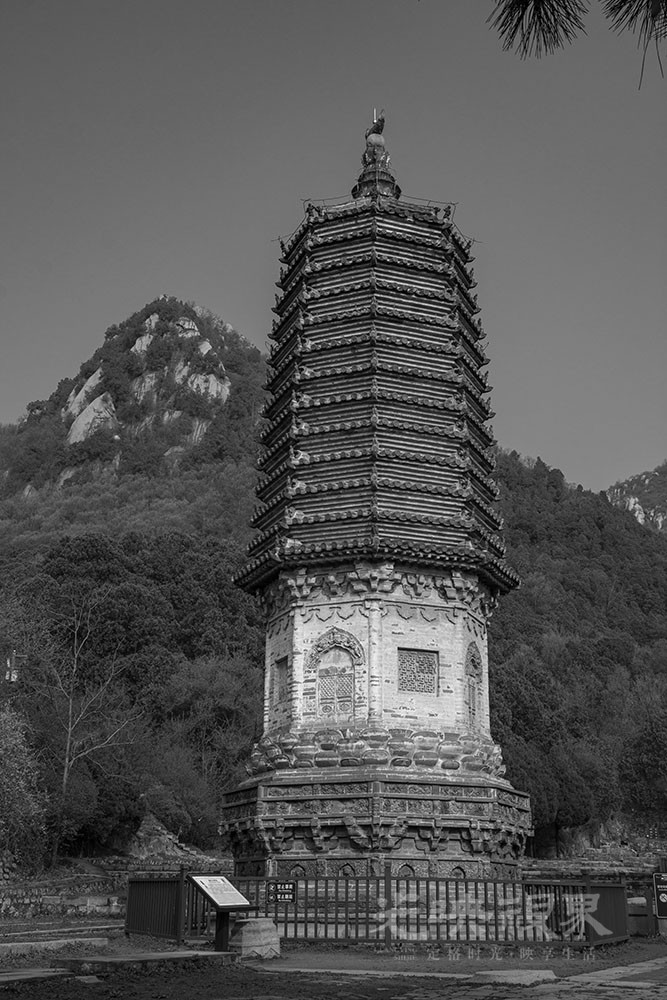 _DSC0960.jpg
