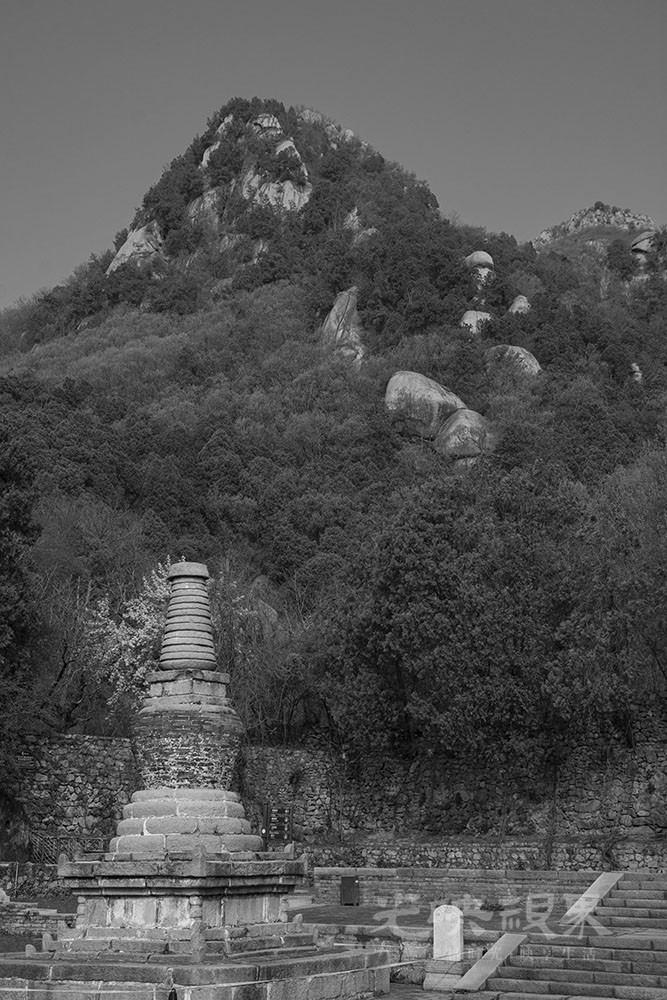 _DSC0969.jpg