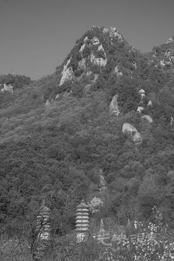_DSC0979.jpg
