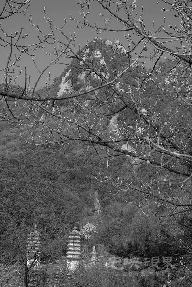 _DSC0980.jpg