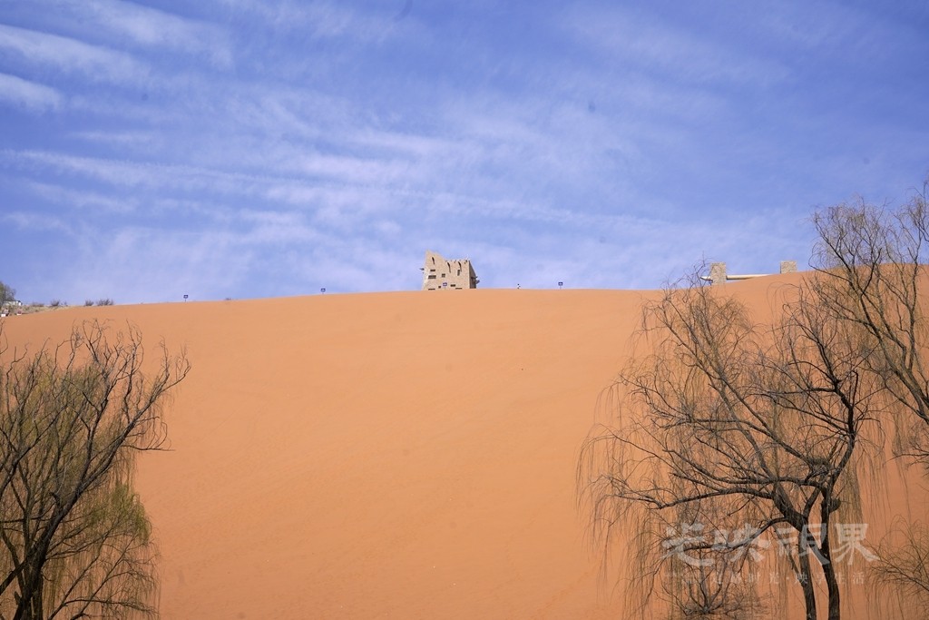 DSC09140_副本.jpg