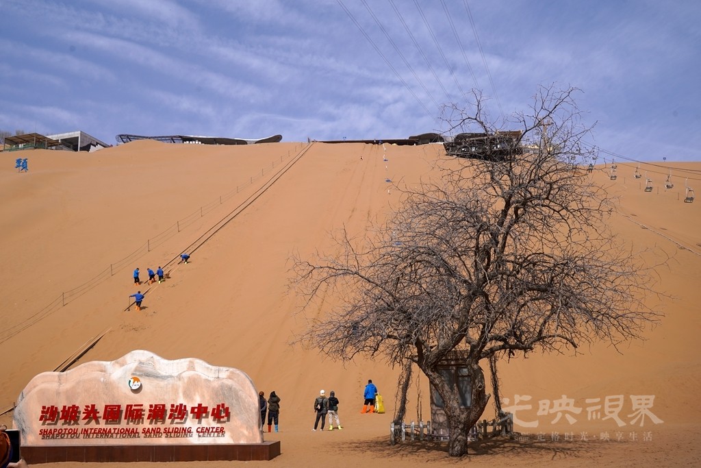 DSC09144_副本.jpg
