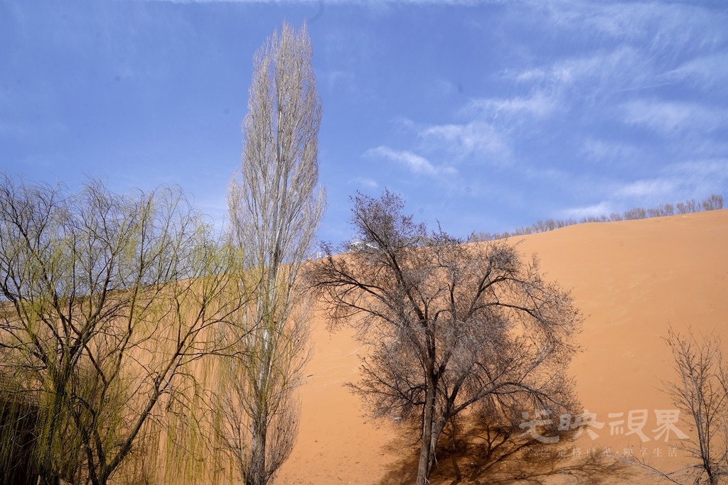 DSC09151_副本.jpg