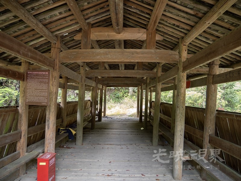 P5025894.jpg