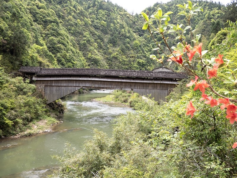 P5025899.jpg