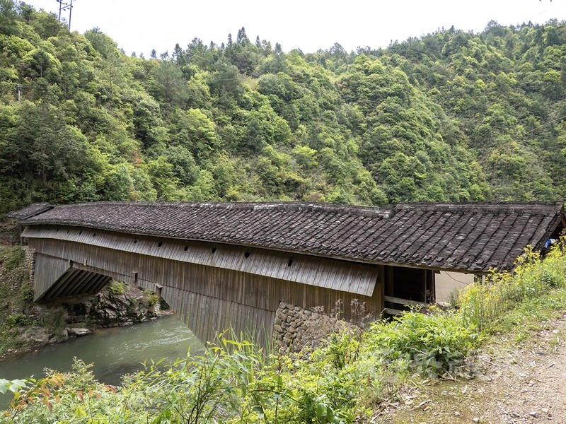P5025901.jpg