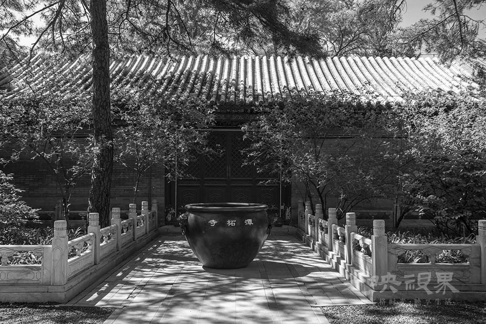 _DSC1080.jpg