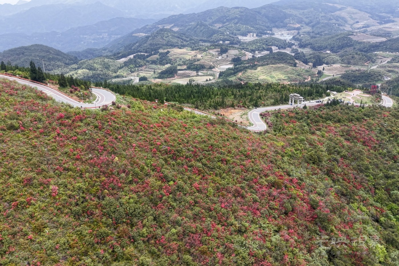 DJI_20260420104925_0028_D_1.JPG