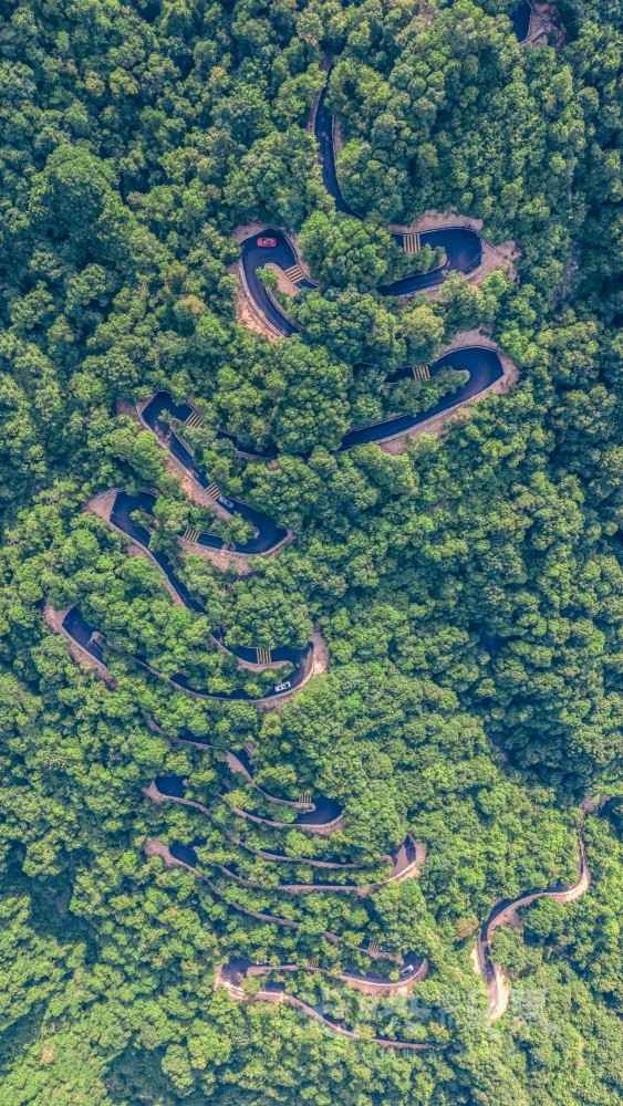DJI_20250629160136_0043_D_1.JPG