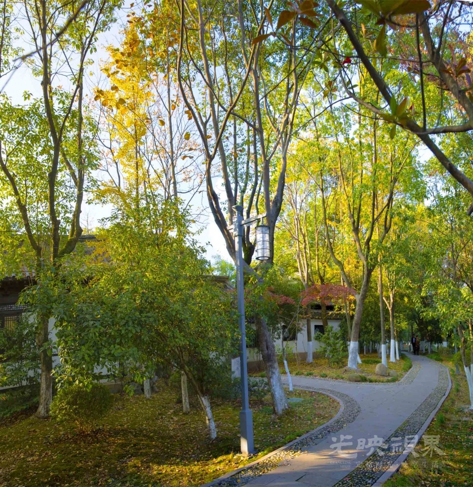 20201115嘉兴放鹤洲024.jpg