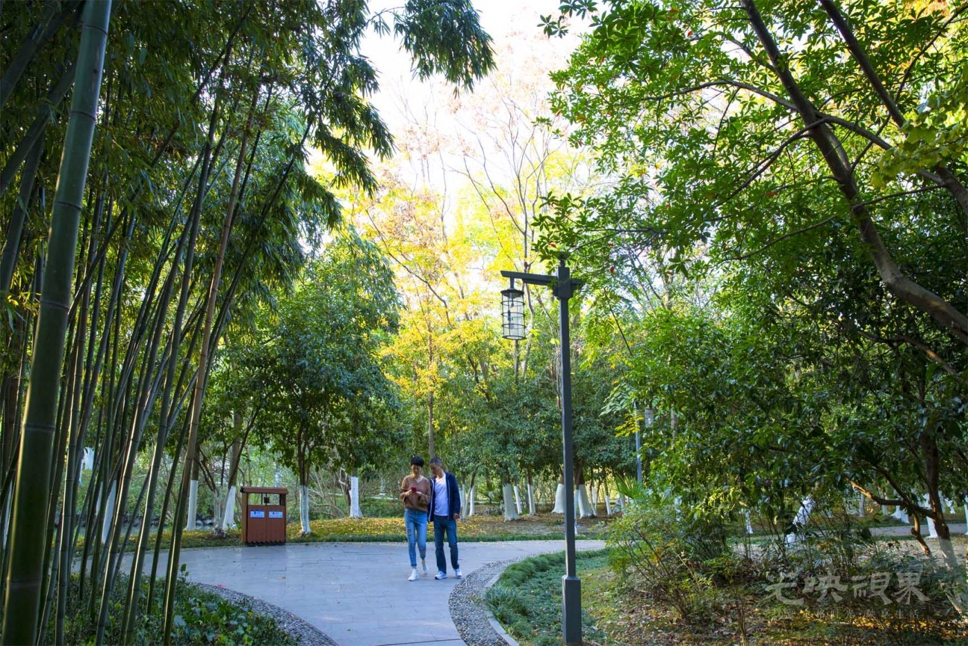 20201115嘉兴放鹤洲027.jpg