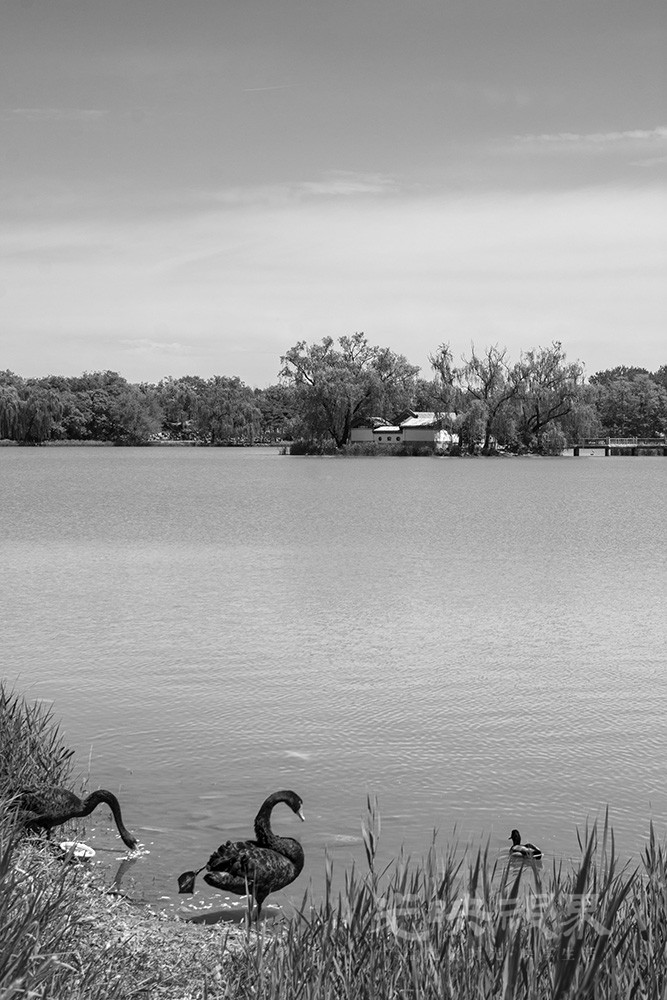 _DSC1124.jpg