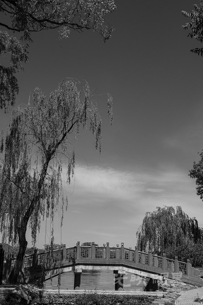 _DSC1108.jpg