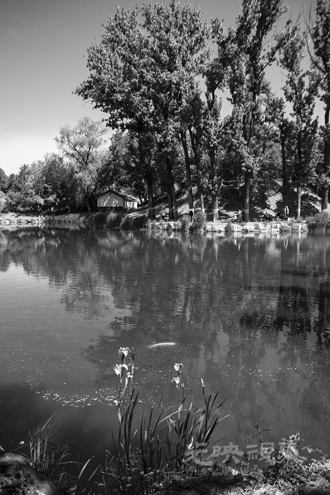 _DSC1103.jpg