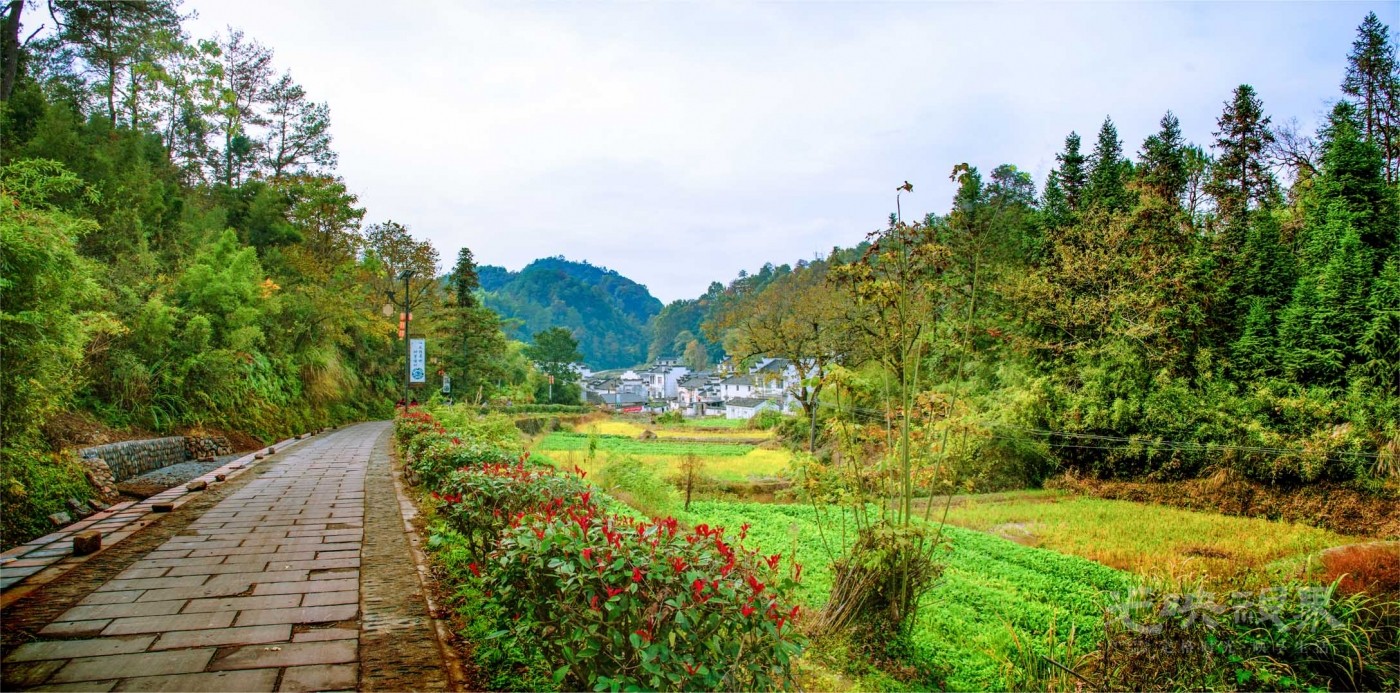 20181103安徽徽州黄村009.jpg
