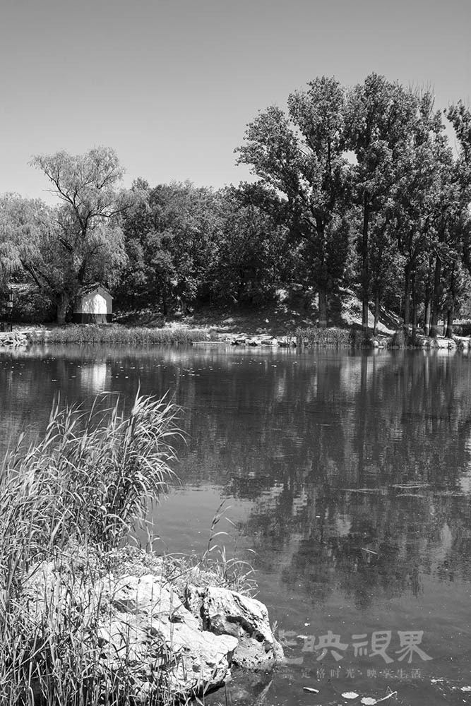 _DSC1126.jpg