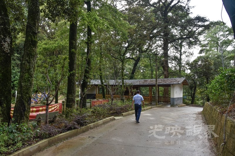 _DSC4466.jpg