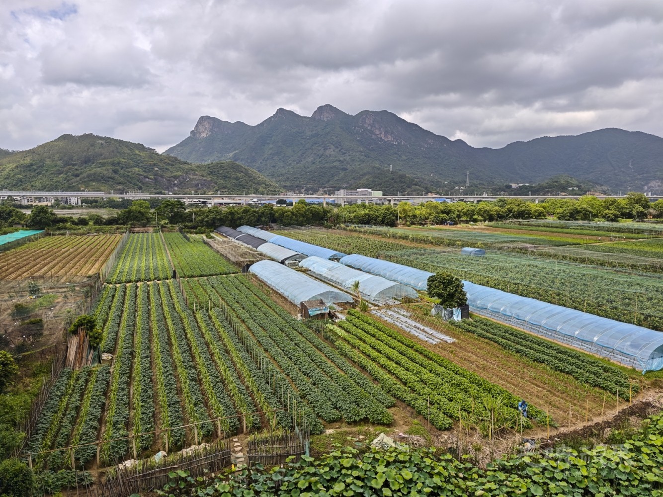 骑游五虎山森林公园00111600.jpg
