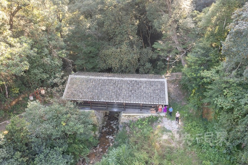 DJI_0233.jpg