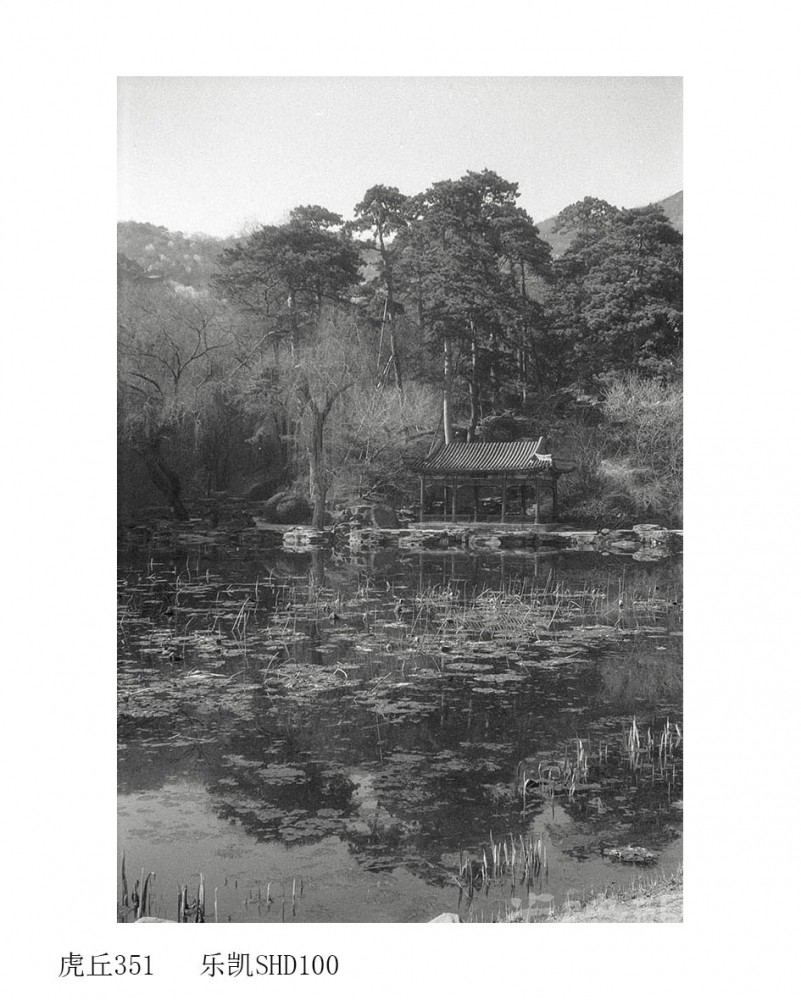 Untitled (22).jpg