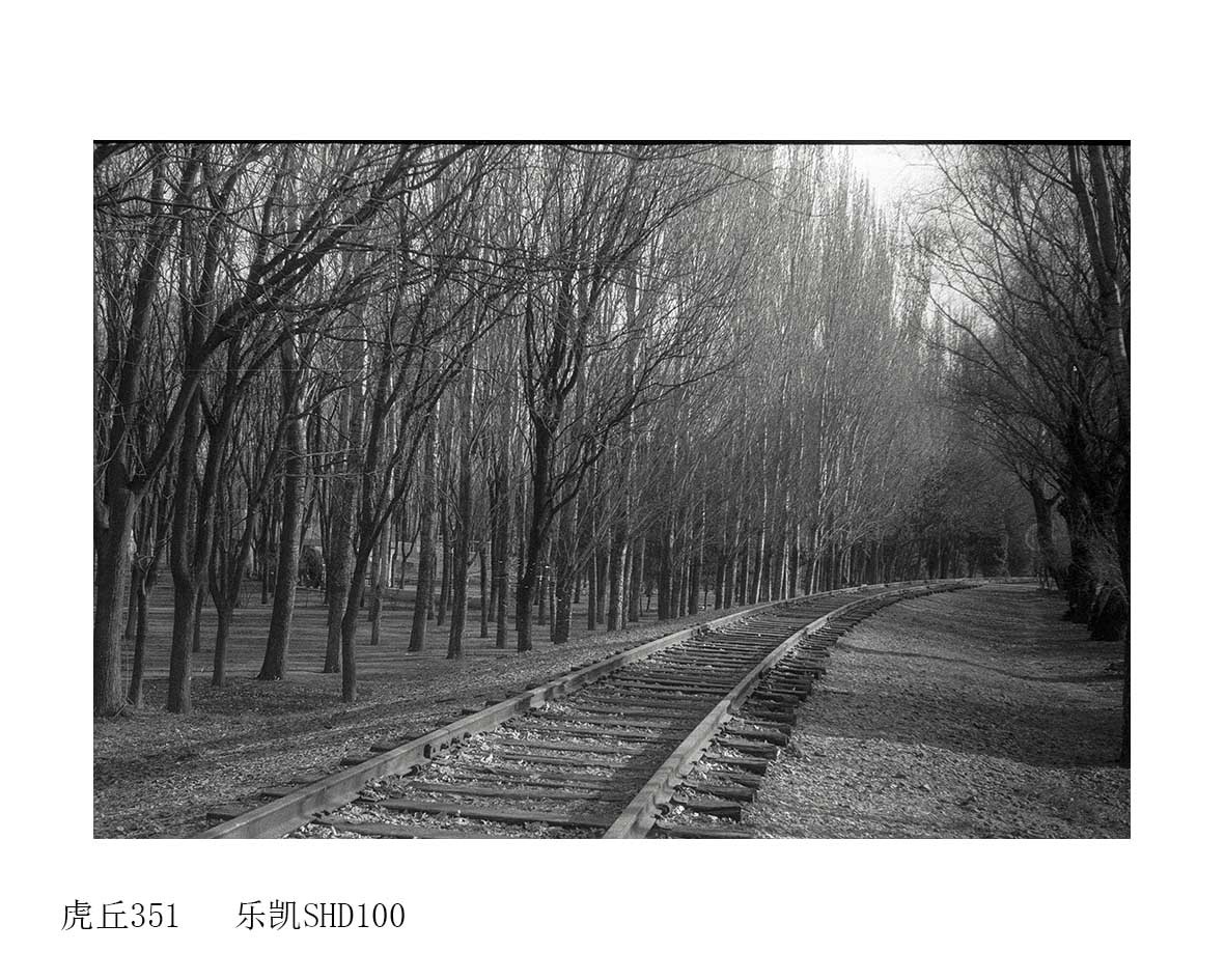 Untitled (58).jpg