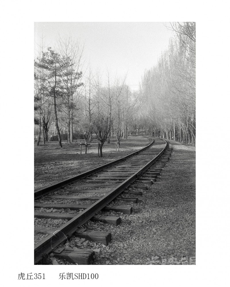 Untitled (61).jpg