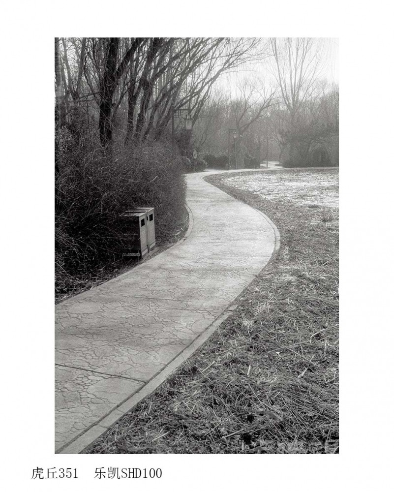 Untitled (53).jpg