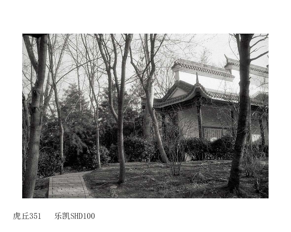 Untitled (51).jpg