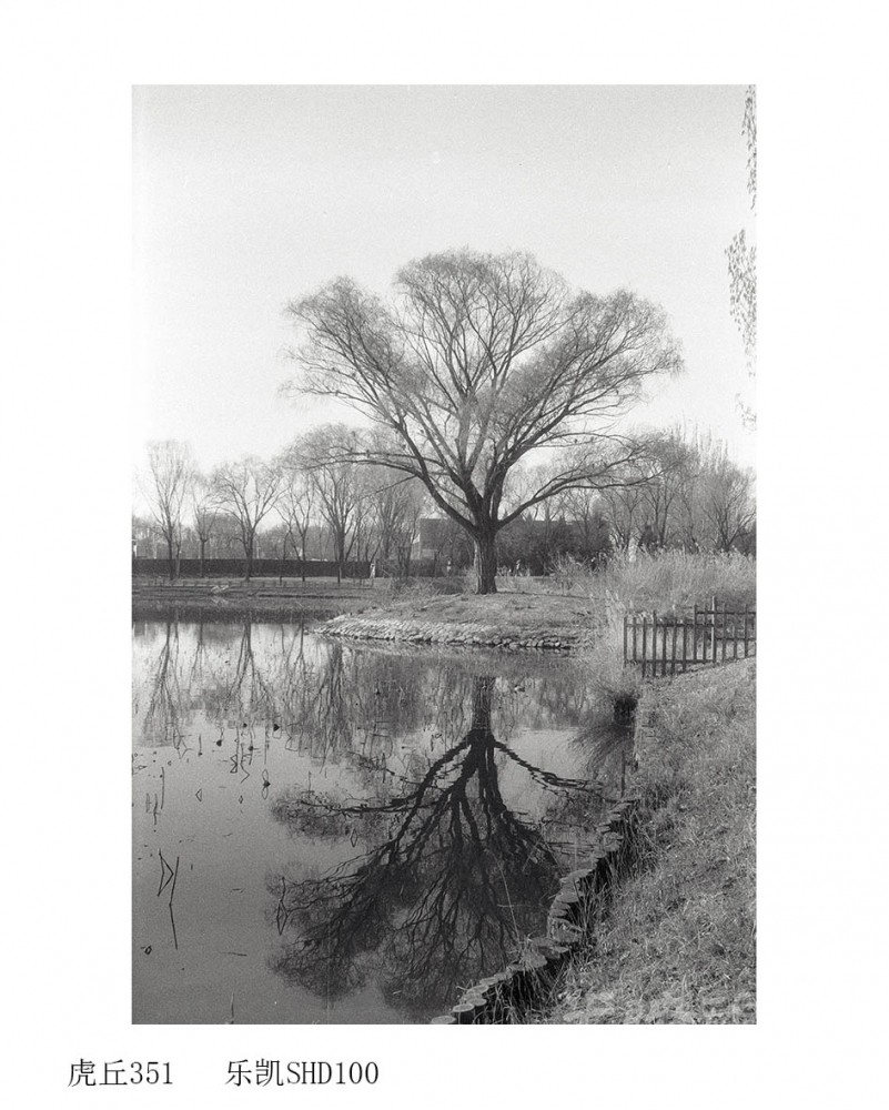 Untitled (59).jpg