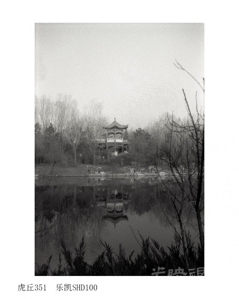 Untitled (45).jpg