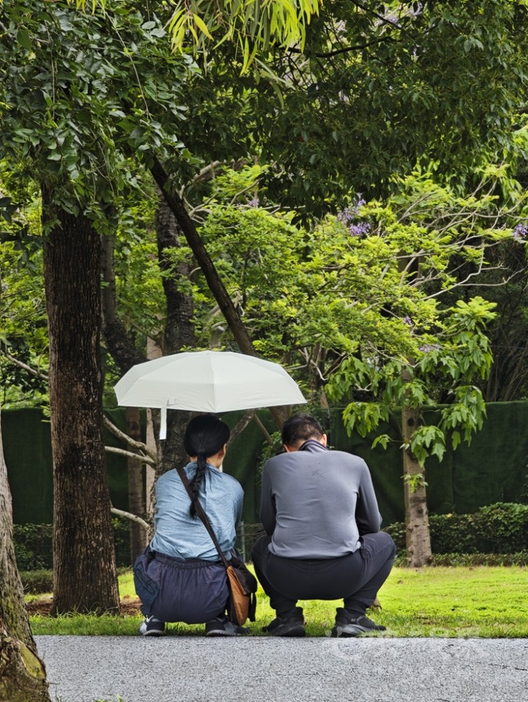 飞凤山奥体公园00111024.jpg