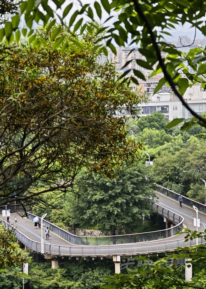 飞凤山奥体公园00151024.jpg