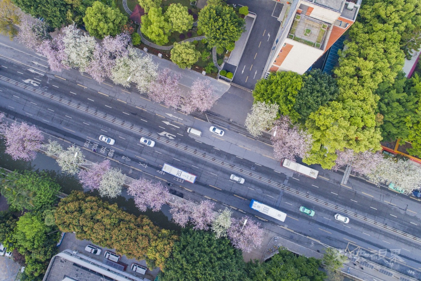 DJI_0056_1.JPG